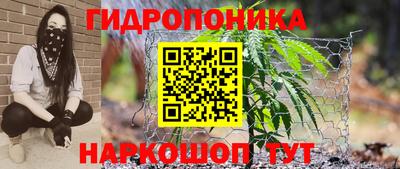 jwh Новозыбков