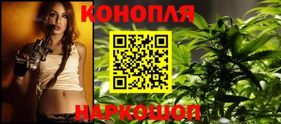 jwh Новозыбков